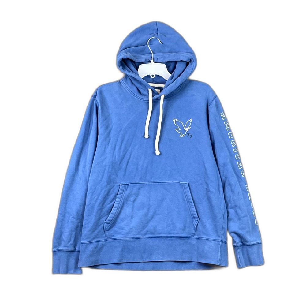 American Eagle Outfitters Super Soft Hoodie Mens L Fleece Lined Pullover Grunge
